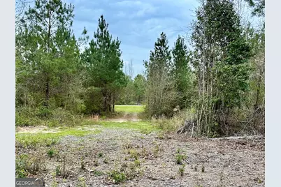 0 Rock Springs Road, Dublin, GA 31021 - Photo 1