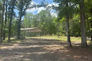 131 Woods Rd, Forsyth, GA 31029 - Photo 39
