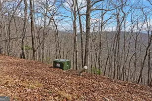 279 Collins Creek Rd, Hiawassee, GA 30546 - Photo 37