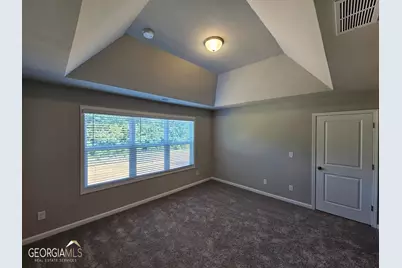 6 Iron Drive #91, Newnan, GA 30265 - Photo 19