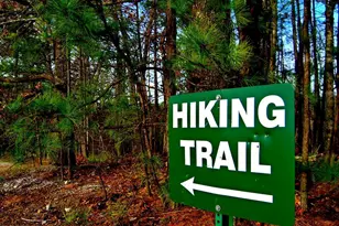 295 Clearview Ct, Villa Rica, GA 30180 - Photo 21