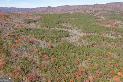 Lot 26 Waldrip Road, Dawsonville, GA 30534 - Photo 5