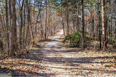 Lot 26 Waldrip Road, Dawsonville, GA 30534 - Photo 3