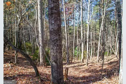 Lot 26 Waldrip Road, Dawsonville, GA 30534 - Photo 1