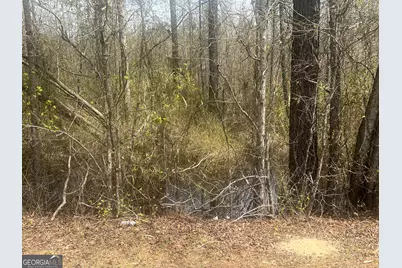 0 Marshall Church Road, Thomson, GA 30824 - Photo 5