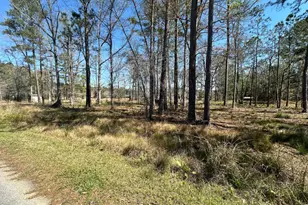 102 Trail S, Midway, GA 31320 - Photo 1