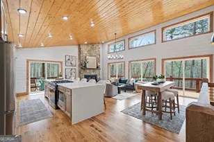 155 Doe Run, Ellijay, GA 30540 - Photo 5