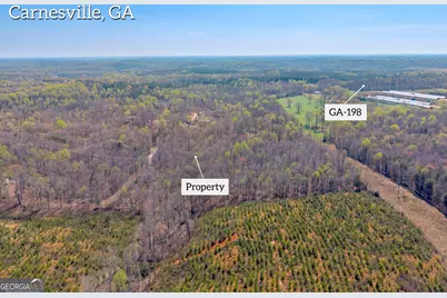 300 Rolling Rock Road, Carnesville, GA 30521 - Photo 3
