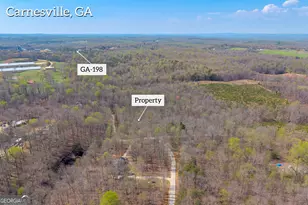 300 Rolling Rock Rd, Carnesville, GA 30521 - Photo 1