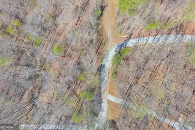 300 Rolling Rock Road, Carnesville, GA 30521 - Photo 9