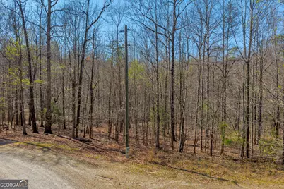 300 Rolling Rock Road, Carnesville, GA 30521 - Photo 11