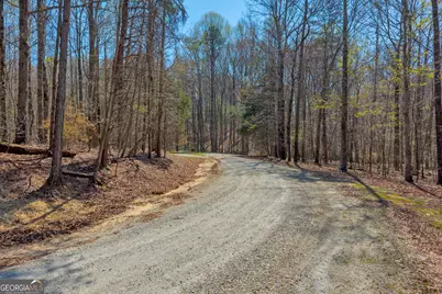 300 Rolling Rock Road, Carnesville, GA 30521 - Photo 13
