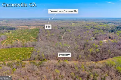 300 Rolling Rock Road, Carnesville, GA 30521 - Photo 5