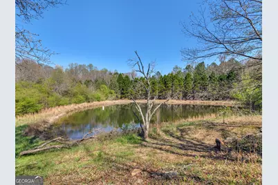 330 Anglin Road, Griffin, GA 30223 - Photo 45