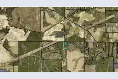 0 Dubberly Road, Baxley, GA 31513 - Photo 9