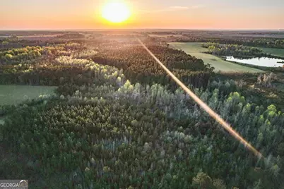 0 Dubberly Road, Baxley, GA 31513 - Photo 3