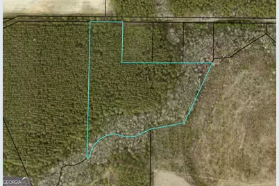 0 Dubberly Road, Baxley, GA 31513 - Photo 7