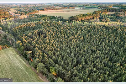 0 Dubberly Road, Baxley, GA 31513 - Photo 5