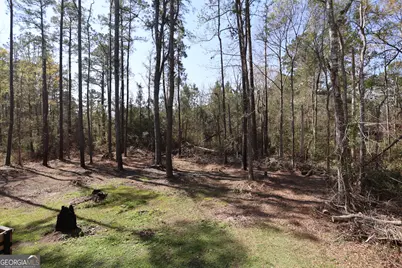 154 Buffalo Drive, Brunswick, GA 31523 - Photo 17