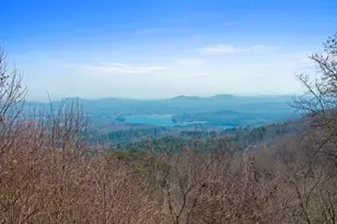 304 Ridge Cir, Blue Ridge, GA 30513 - Photo 3