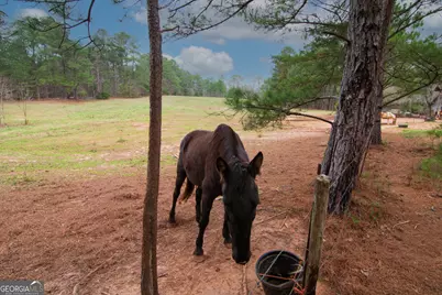 17081 Ga Highway 85 W, Shiloh, GA 31826 - Photo 19