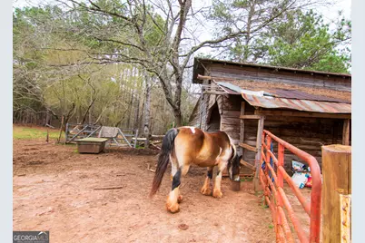 17081 Ga Highway 85 W, Shiloh, GA 31826 - Photo 21