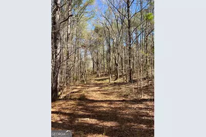 17081 Ga Highway 85 W, Shiloh, GA 31826 - Photo 39