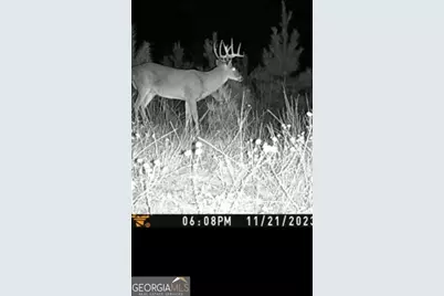 00 Martin Mill Road, Eatonton, GA 31024 - Photo 5