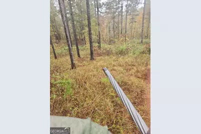 00 Martin Mill Road, Eatonton, GA 31024 - Photo 13