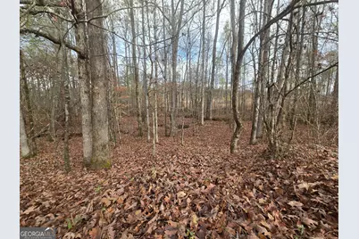 00 Martin Mill Road, Eatonton, GA 31024 - Photo 7