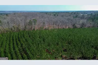 0 Dozier Road, Ellaville, GA 31806 - Photo 11