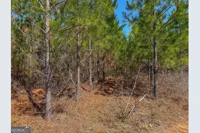 0 Dozier Road, Ellaville, GA 31806 - Photo 15