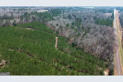 0 Dozier Road, Ellaville, GA 31806 - Photo 5