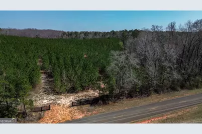 0 Dozier Road, Ellaville, GA 31806 - Photo 7