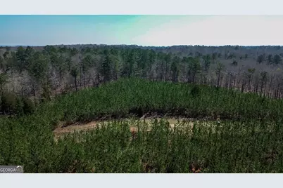 0 Dozier Road, Ellaville, GA 31806 - Photo 13