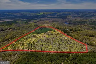 3601 Stuckey Rd, Danville, GA 31017 - Photo 77