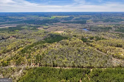 3601 Stuckey Road, Danville, GA 31017 - Photo 45