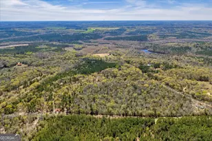 3601 Stuckey Rd, Danville, GA 31017 - Photo 45