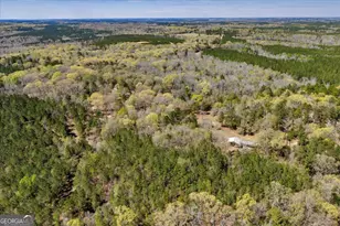 3601 Stuckey Rd, Danville, GA 31017 - Photo 49