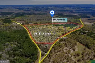 3601 Stuckey Rd, Danville, GA 31017 - Photo 47