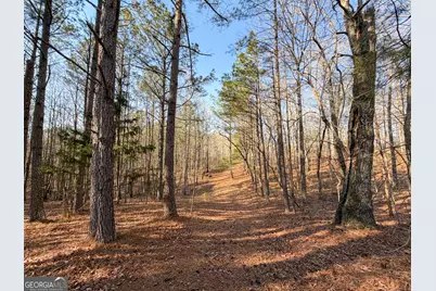 0 W Union Hill Road, Winston, GA 30187 - Photo 27