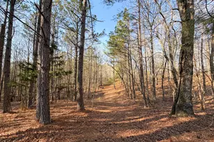 0 W Union Hill Rd, Winston, GA 30187 - Photo 27