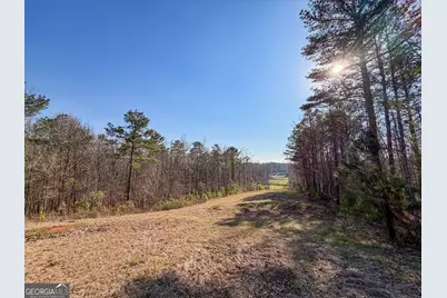 0 W Union Hill Road, Winston, GA 30187 - Photo 39