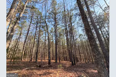 0 W Union Hill Road, Winston, GA 30187 - Photo 29