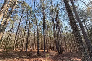 0 W Union Hill Rd, Winston, GA 30187 - Photo 29