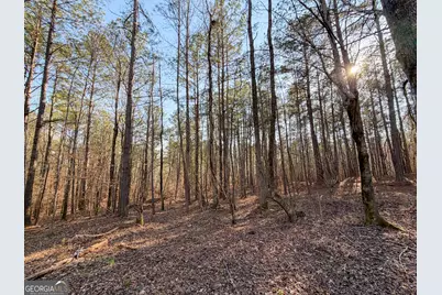 0 W Union Hill Road, Winston, GA 30187 - Photo 45