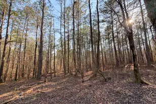 0 W Union Hill Rd, Winston, GA 30187 - Photo 45