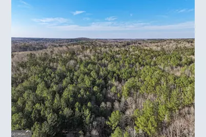 0 W Union Hill Road, Winston, GA 30187 - Photo 9