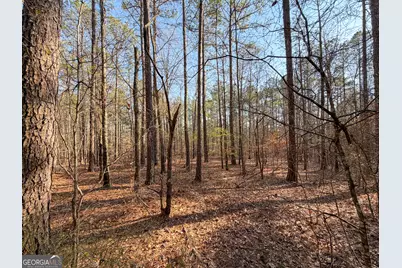 0 W Union Hill Road, Winston, GA 30187 - Photo 47