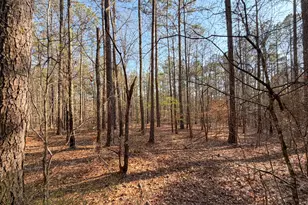 0 W Union Hill Rd, Winston, GA 30187 - Photo 47